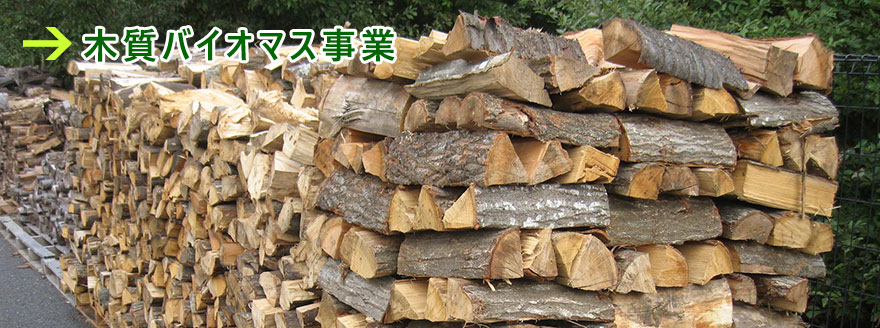 木質バイオマス事業